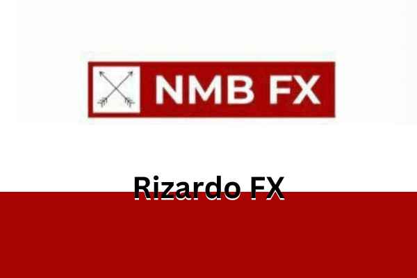 NMB FX